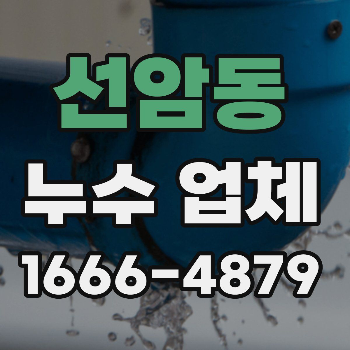 선암동 누수 업체