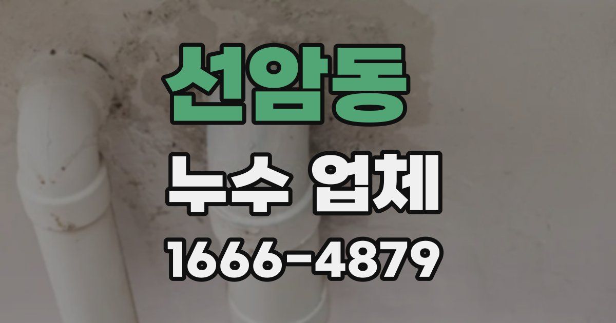 선암동 누수 업체