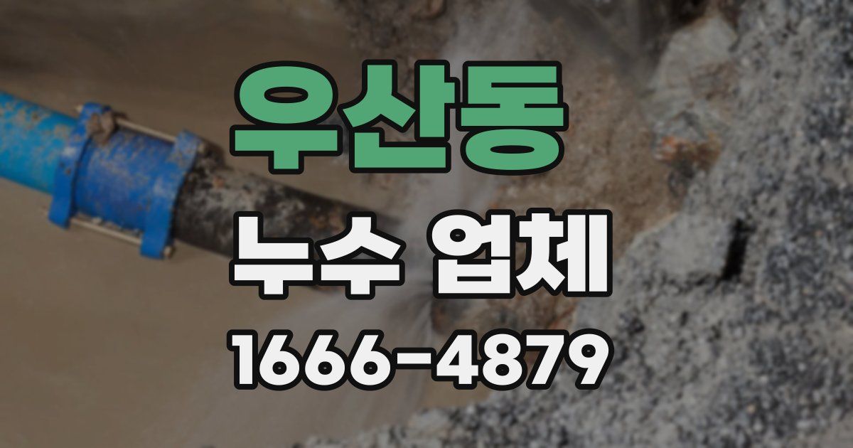 우산동 누수 업체