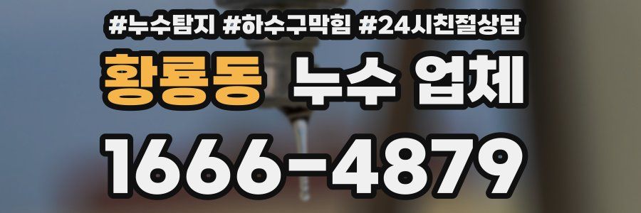 황룡동 누수 업체