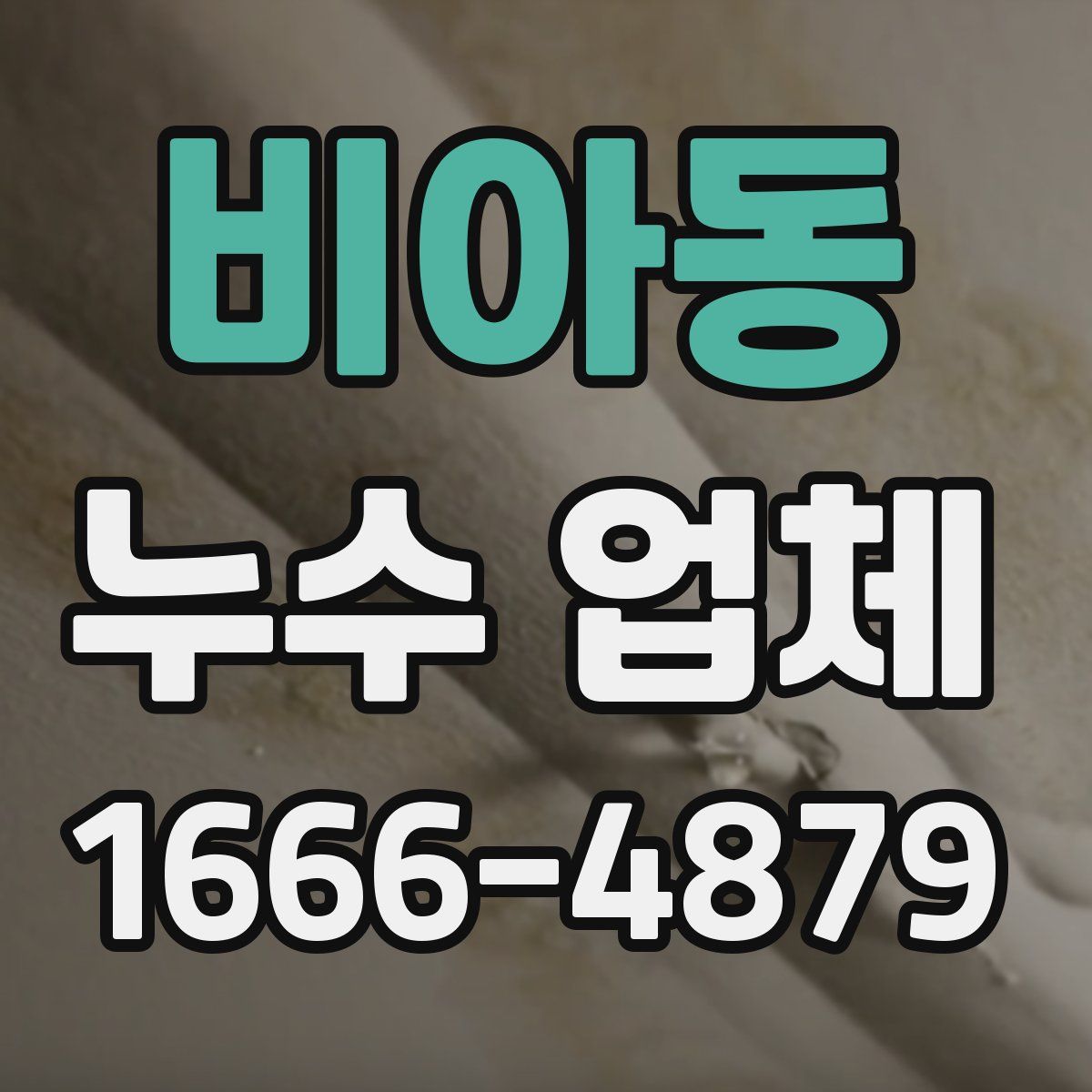 비아동 누수 업체