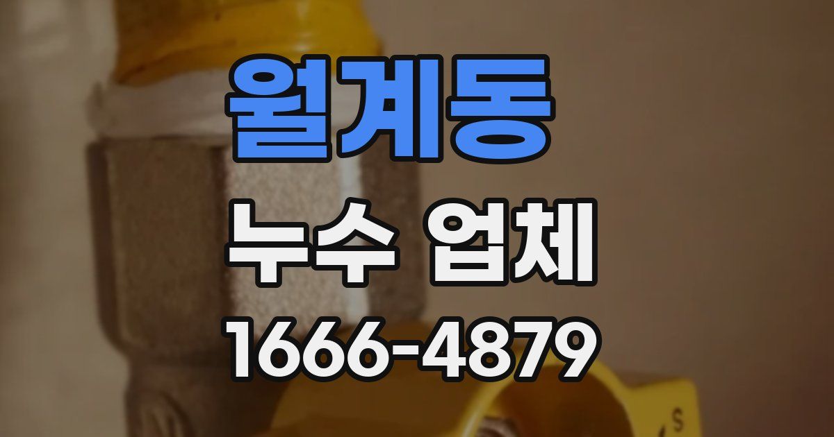 월계동 누수 업체