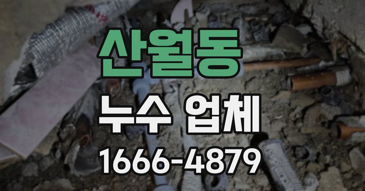 산월동 누수 업체