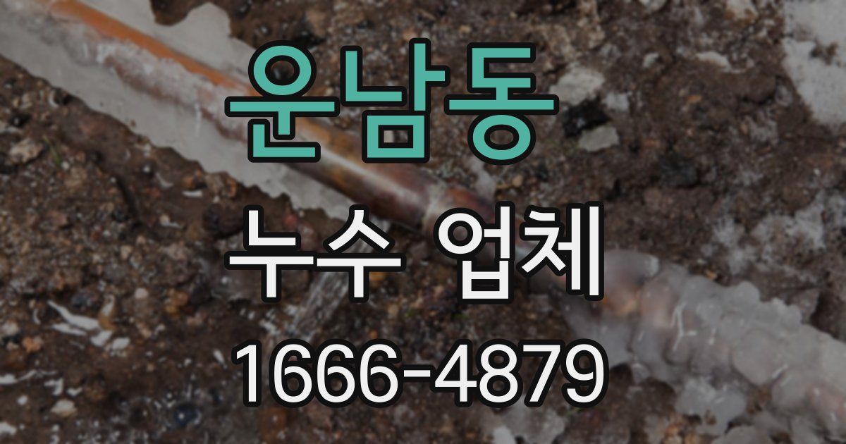 운남동 누수 업체