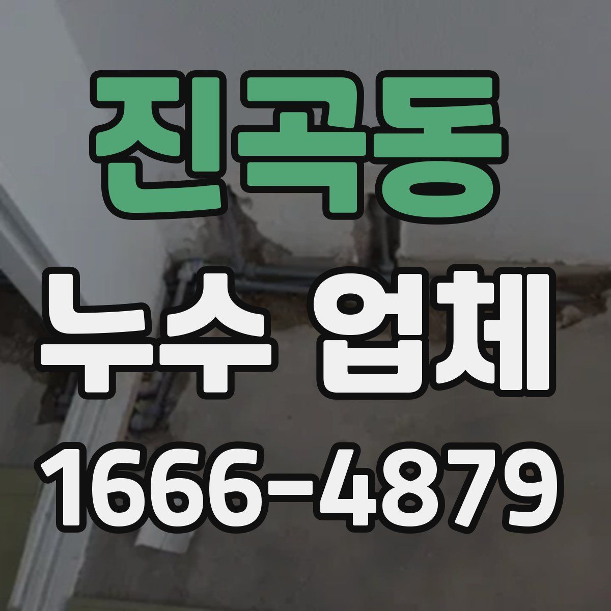 진곡동 누수 업체
