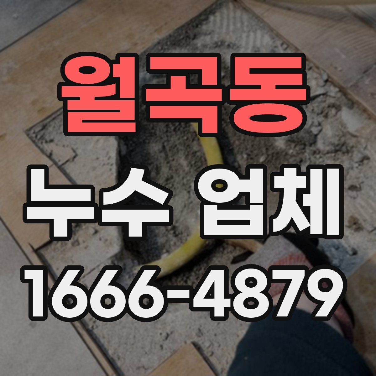 월곡동 누수 업체