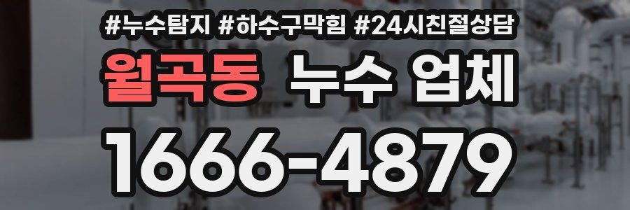 월곡동 누수 업체
