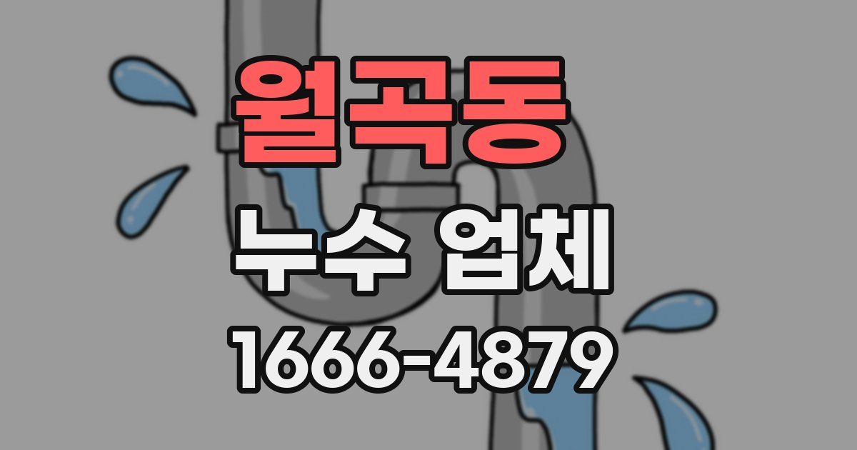 월곡동 누수 업체