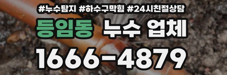 등임동 누수 업체