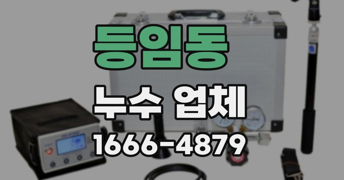 등임동 누수 업체