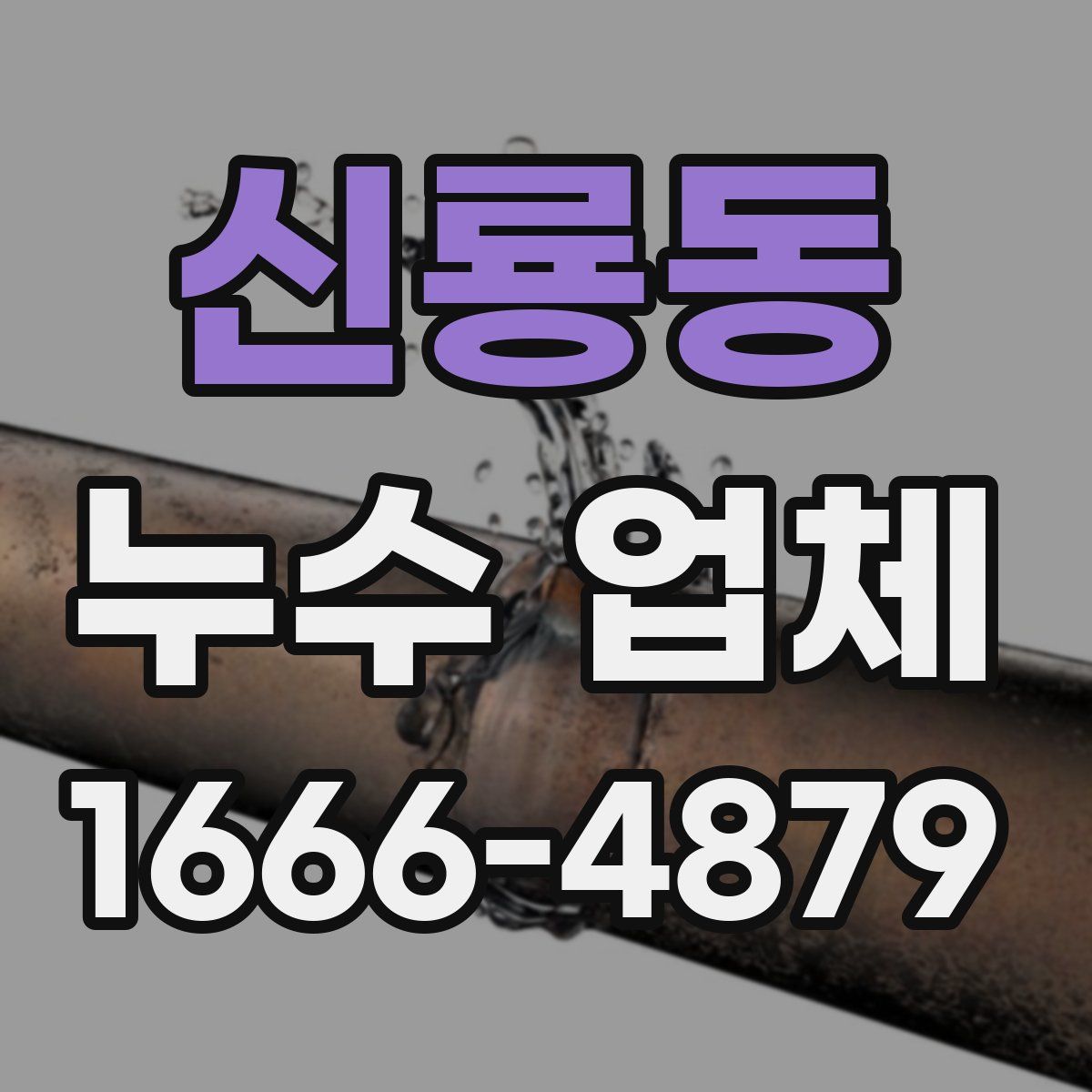 신룡동 누수 업체