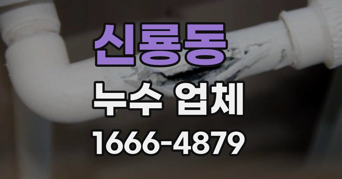 신룡동 누수 업체