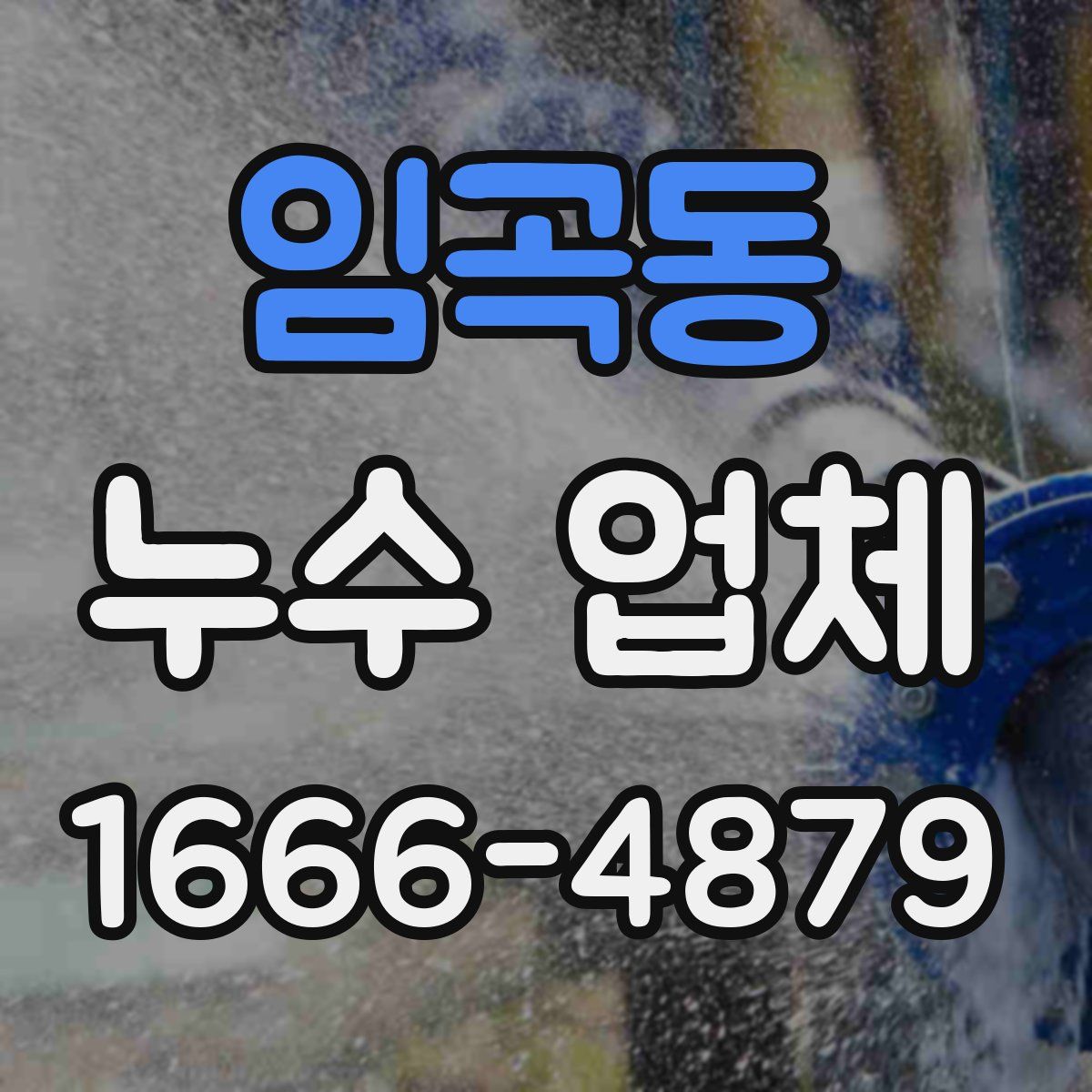 임곡동 누수 업체