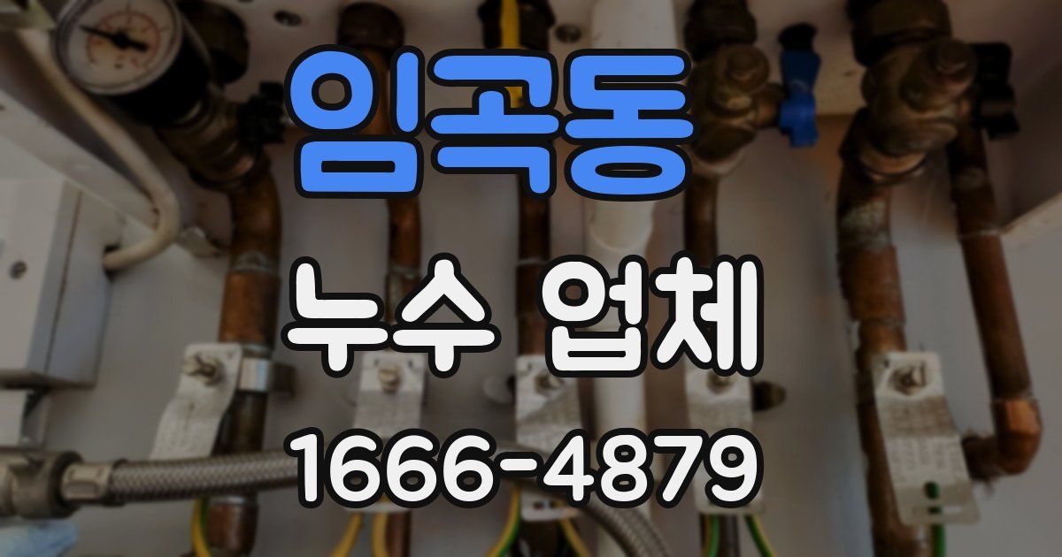 임곡동 누수 업체