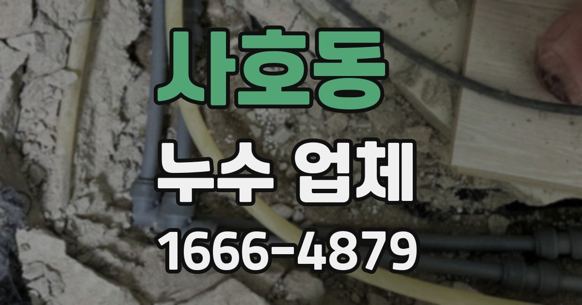 사호동 누수 업체