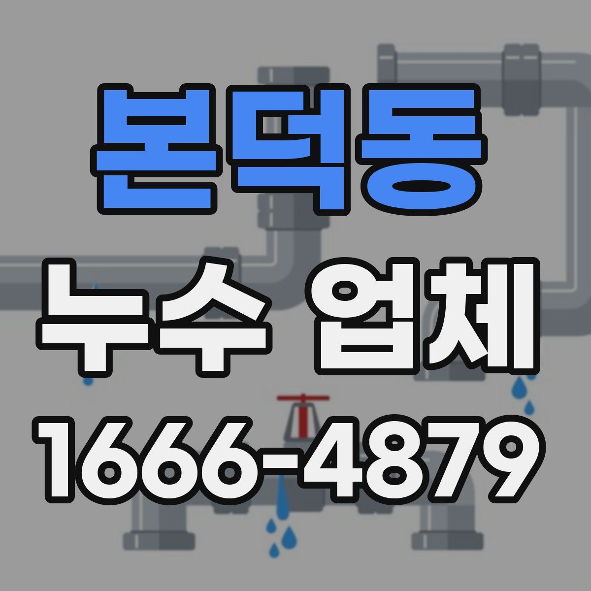 본덕동 누수 업체