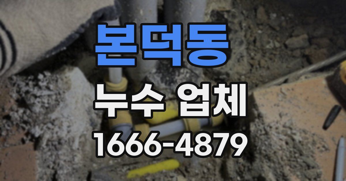 본덕동 누수 업체