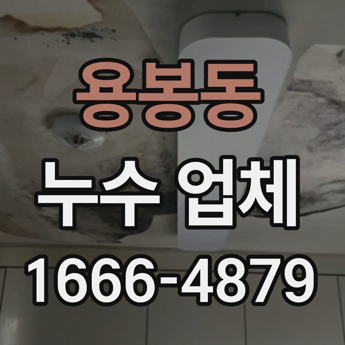 용봉동 누수 업체