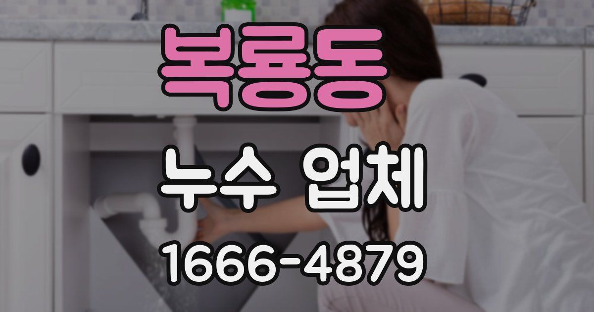 복룡동 누수 업체