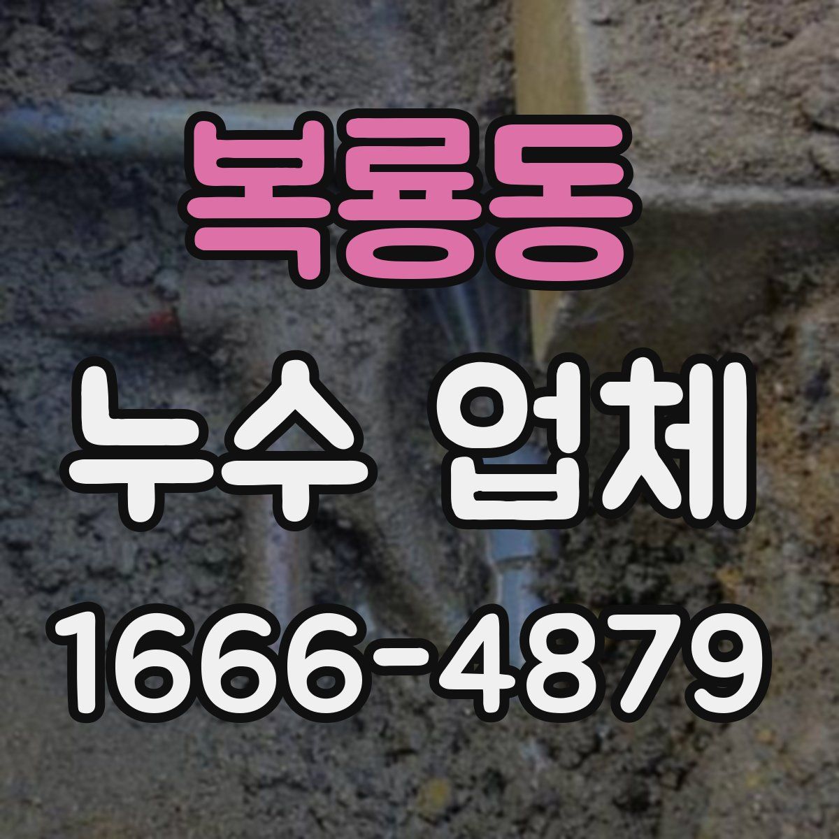 복룡동 누수 업체