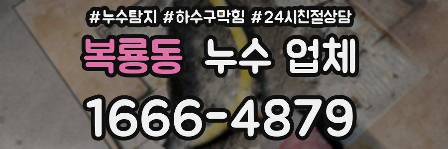 복룡동 누수 업체