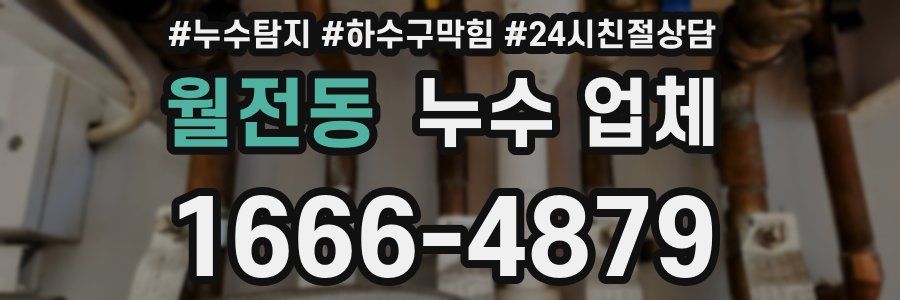 월전동 누수 업체