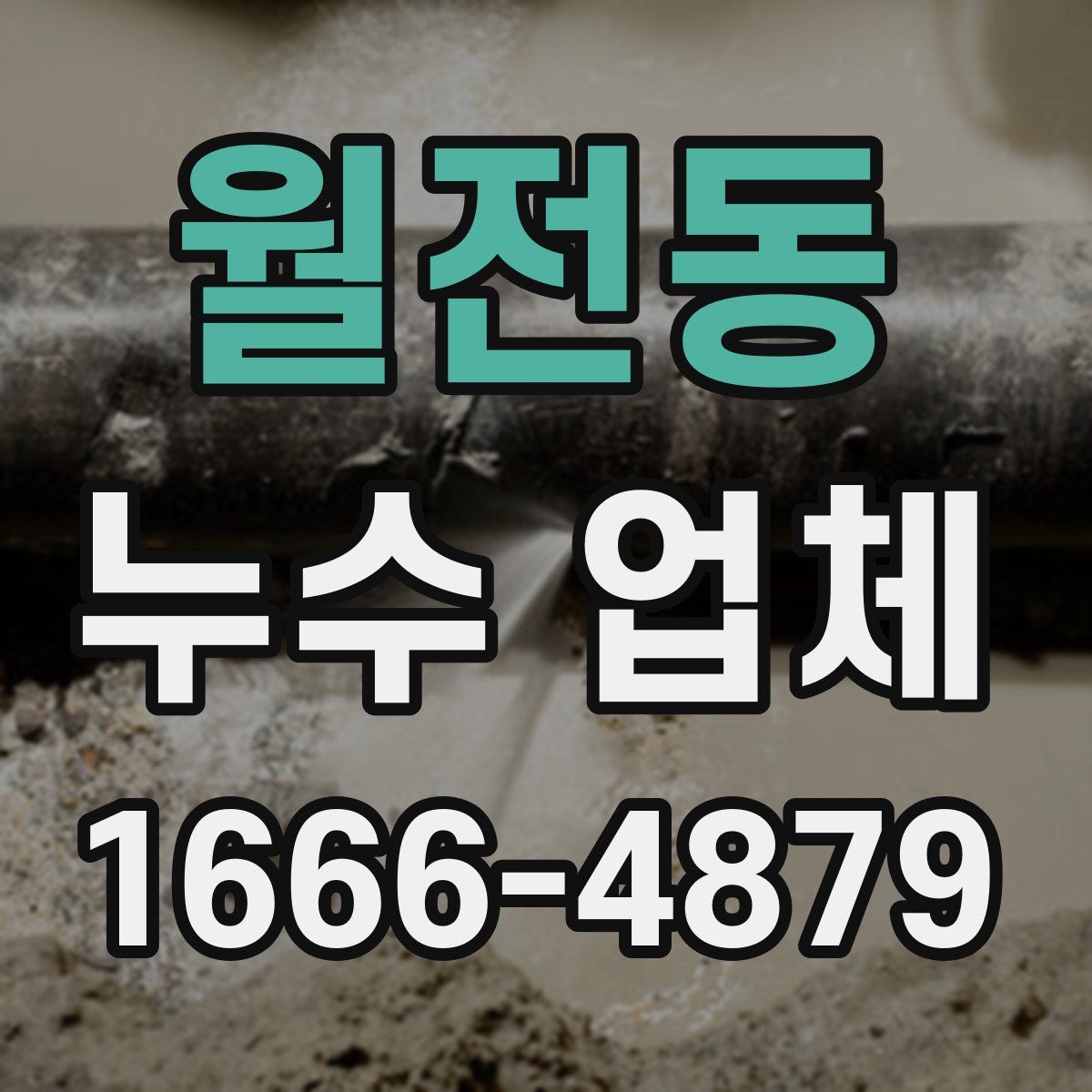 월전동 누수 업체
