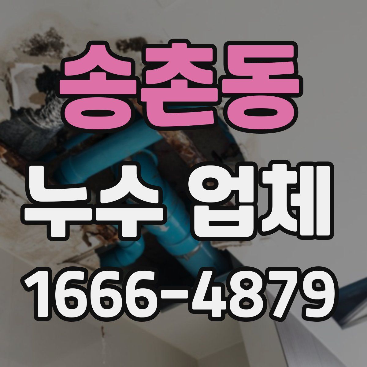 송촌동 누수 업체