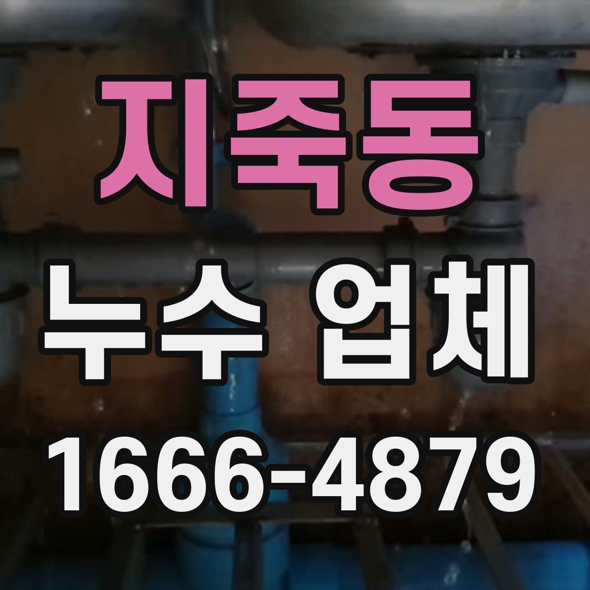 지죽동 누수 업체
