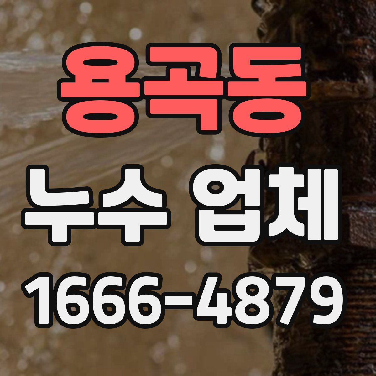용곡동 누수 업체