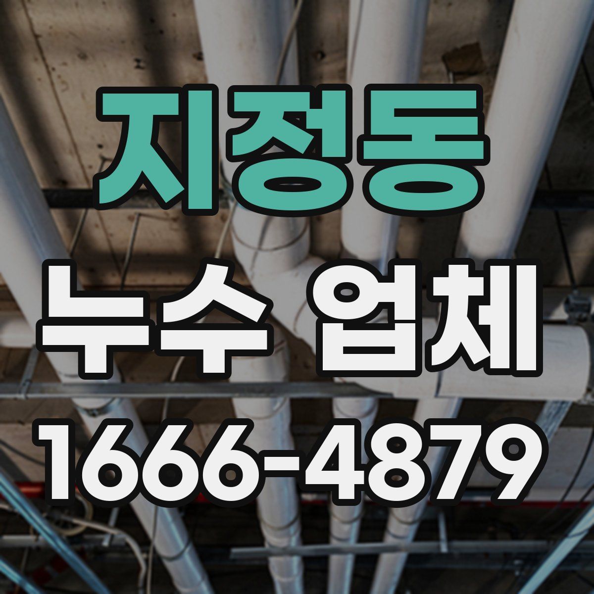 지정동 누수 업체