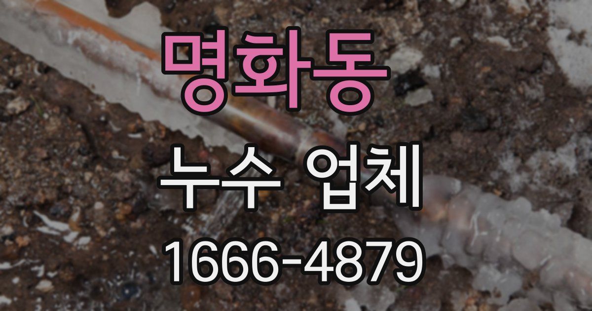 명화동 누수 업체