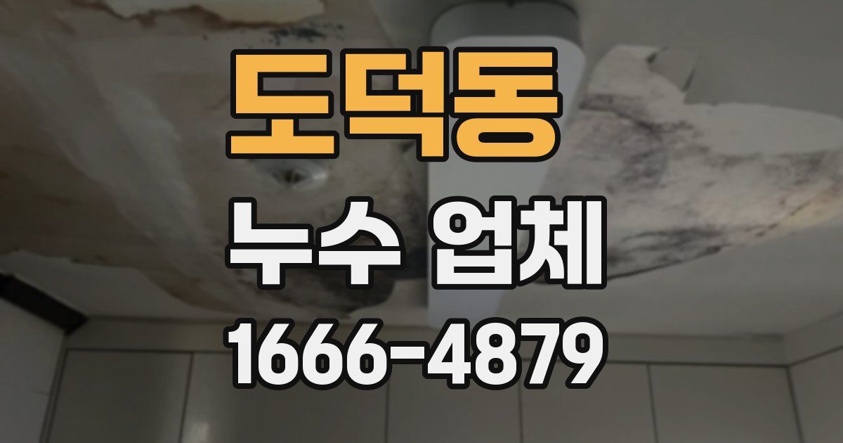 도덕동 누수 업체