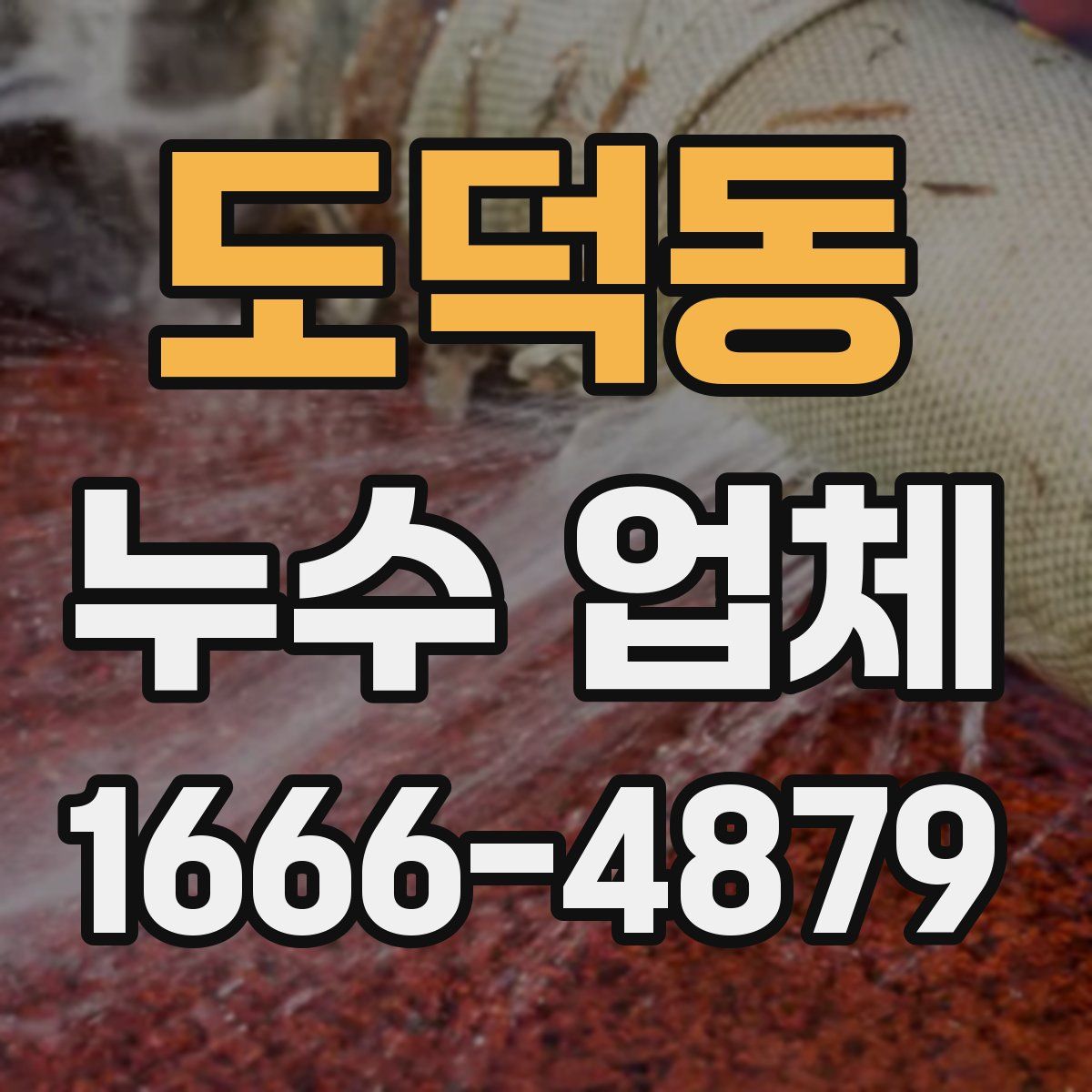 도덕동 누수 업체