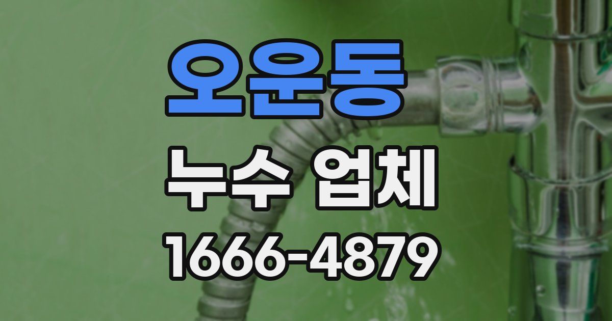 오운동 누수 업체