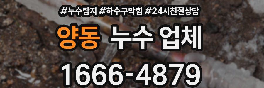 양동 누수 업체
