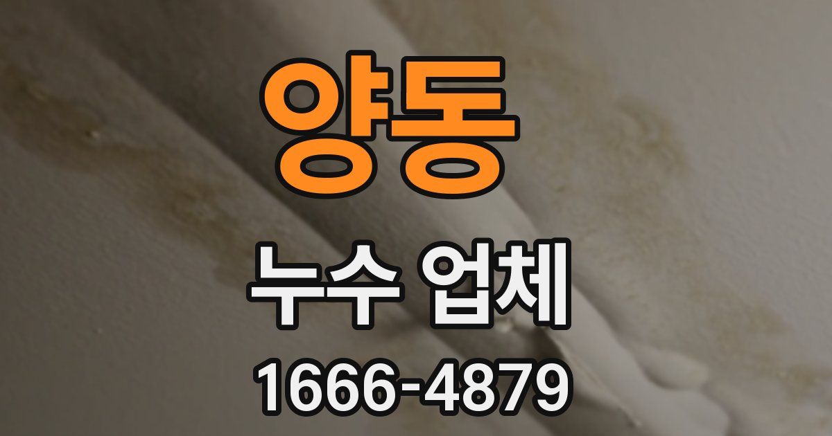 양동 누수 업체
