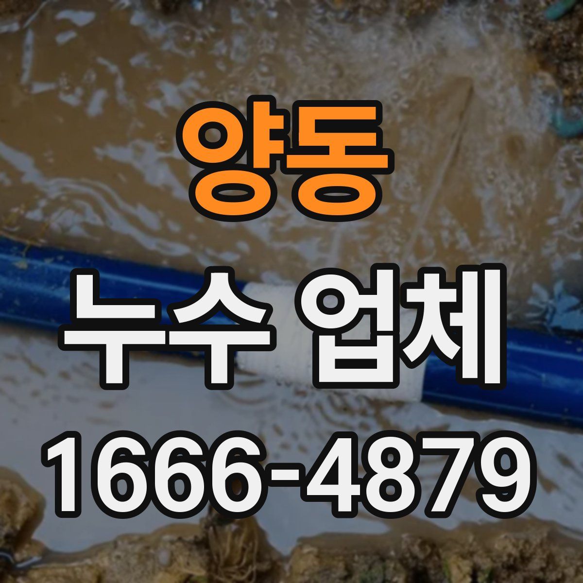 양동 누수 업체