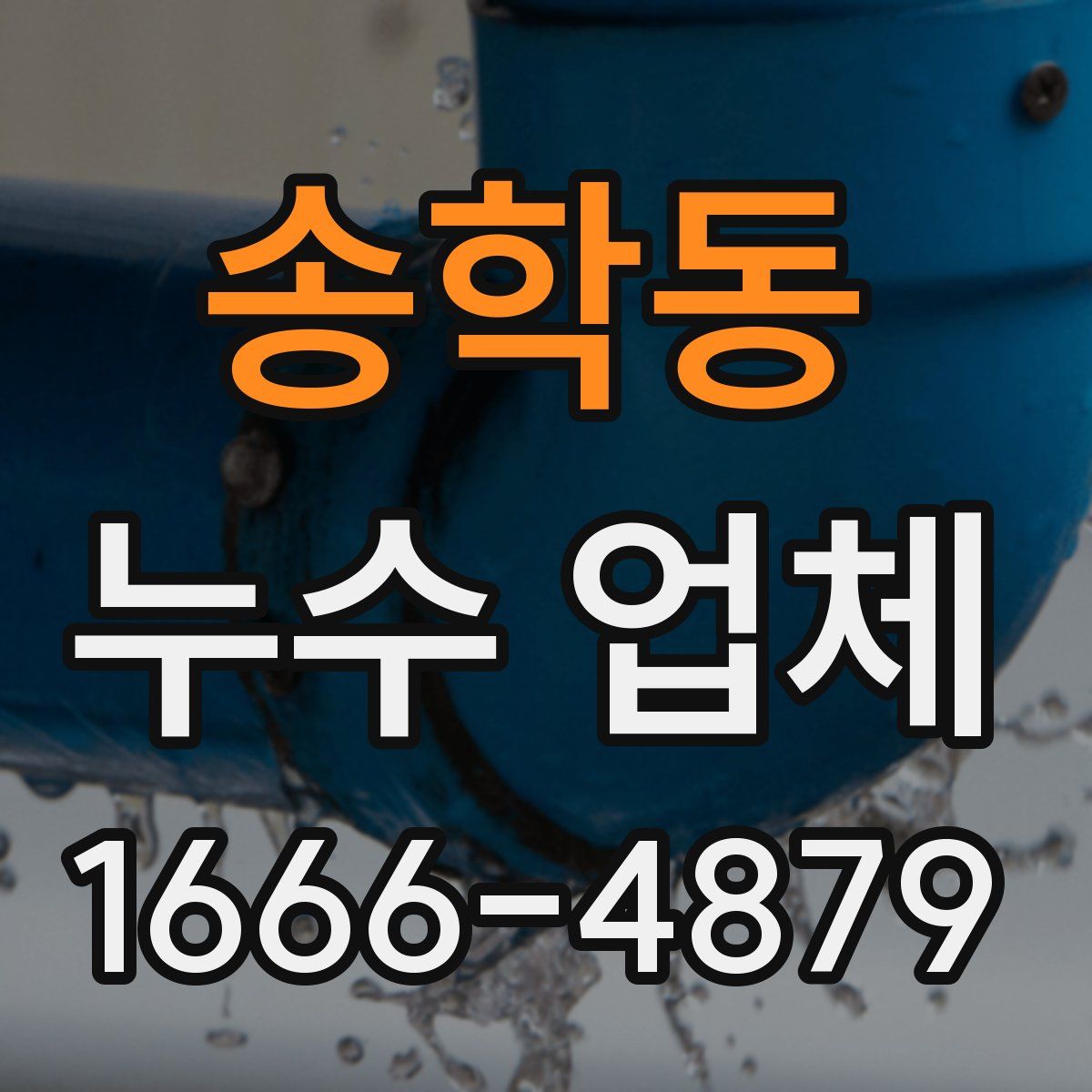 송학동 누수 업체