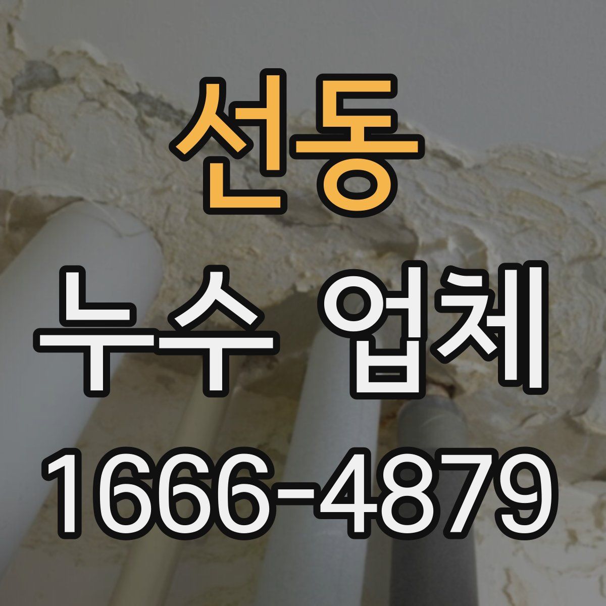 선동 누수 업체