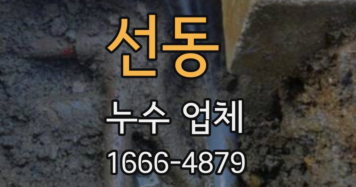 선동 누수 업체