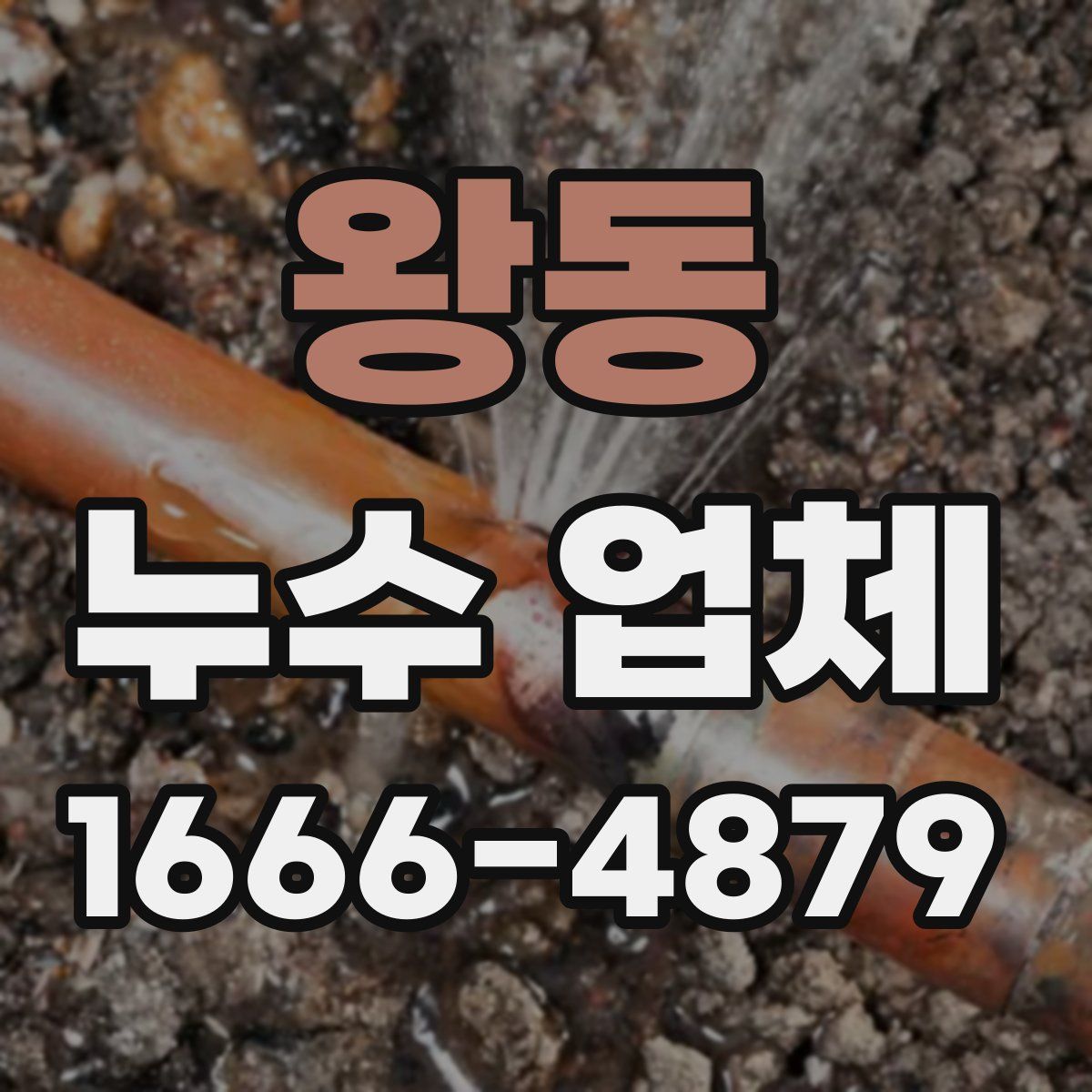 왕동 누수 업체