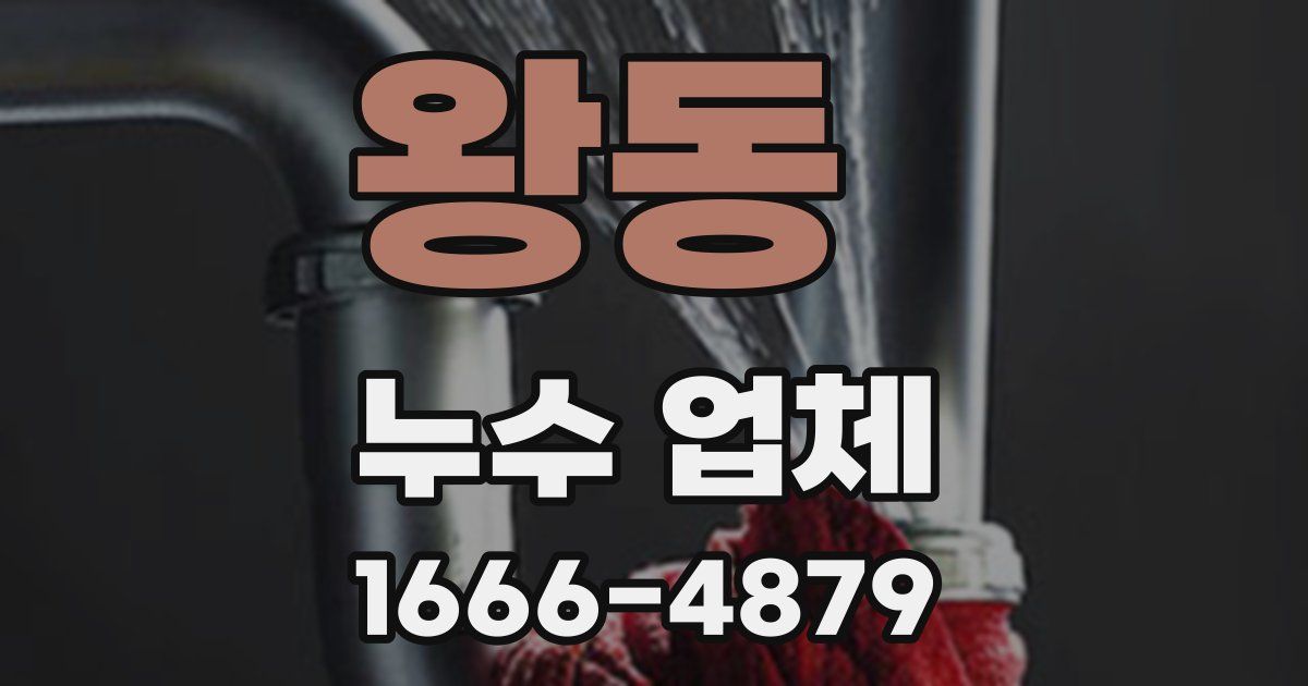 왕동 누수 업체