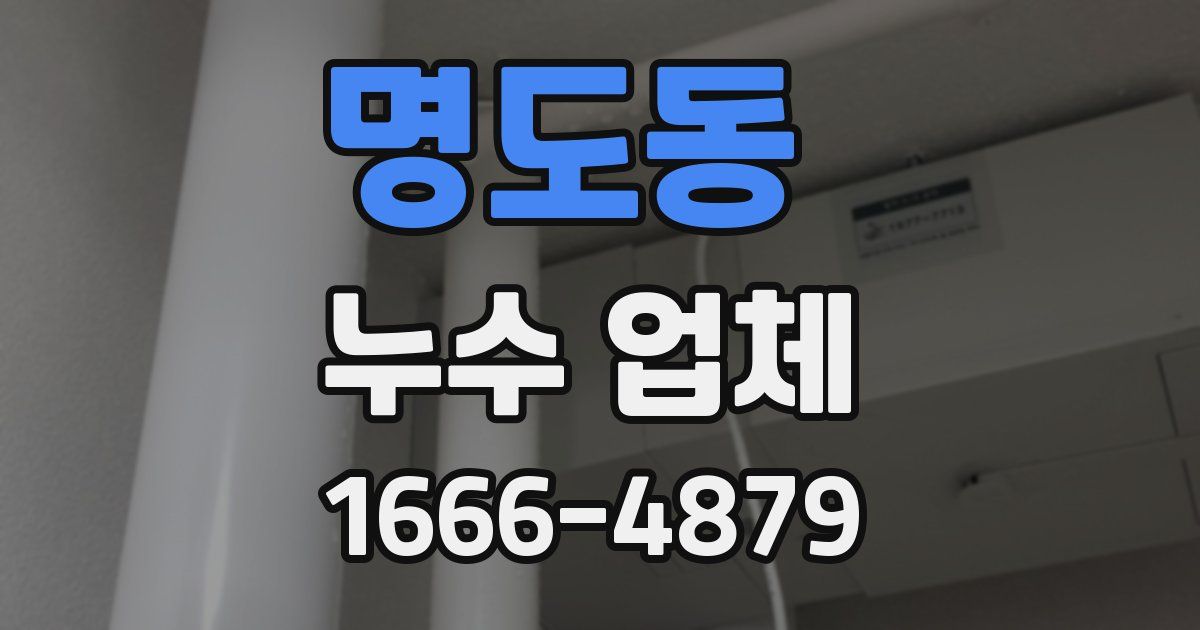 명도동 누수 업체