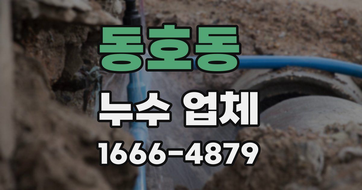 동호동 누수 업체
