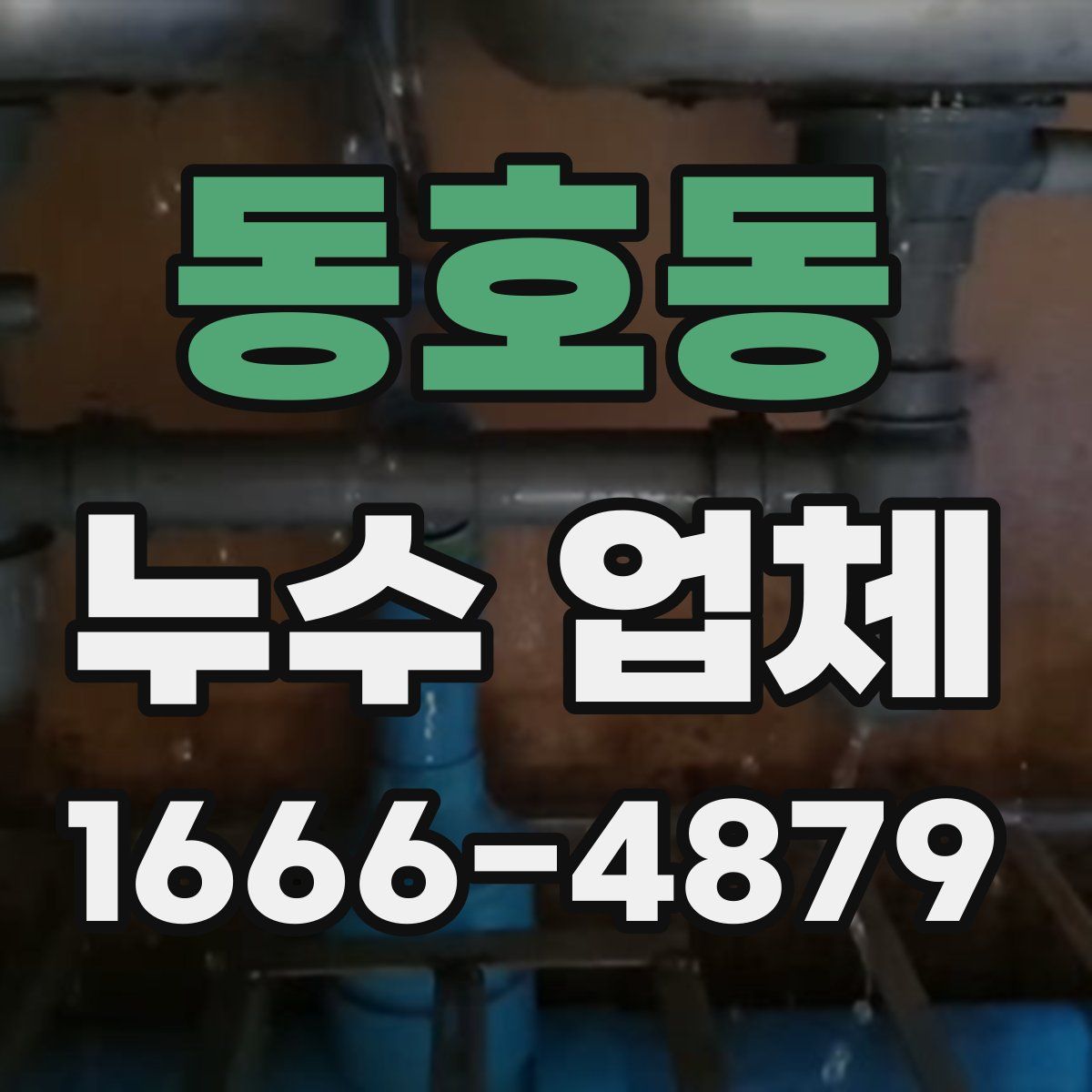 동호동 누수 업체