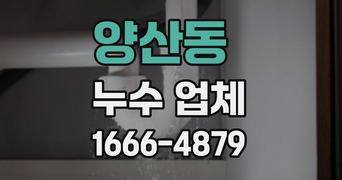 양산동 누수 업체