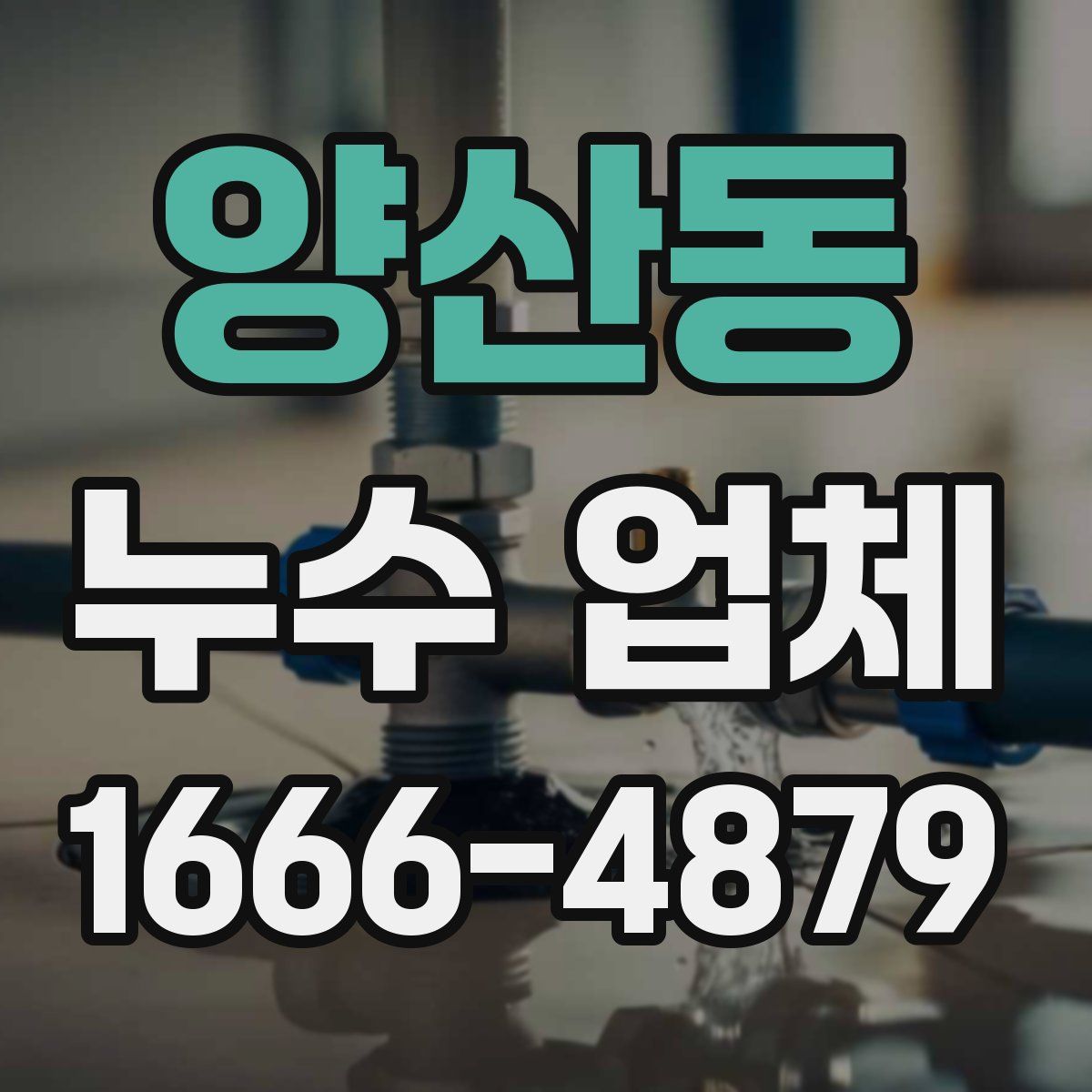 양산동 누수 업체
