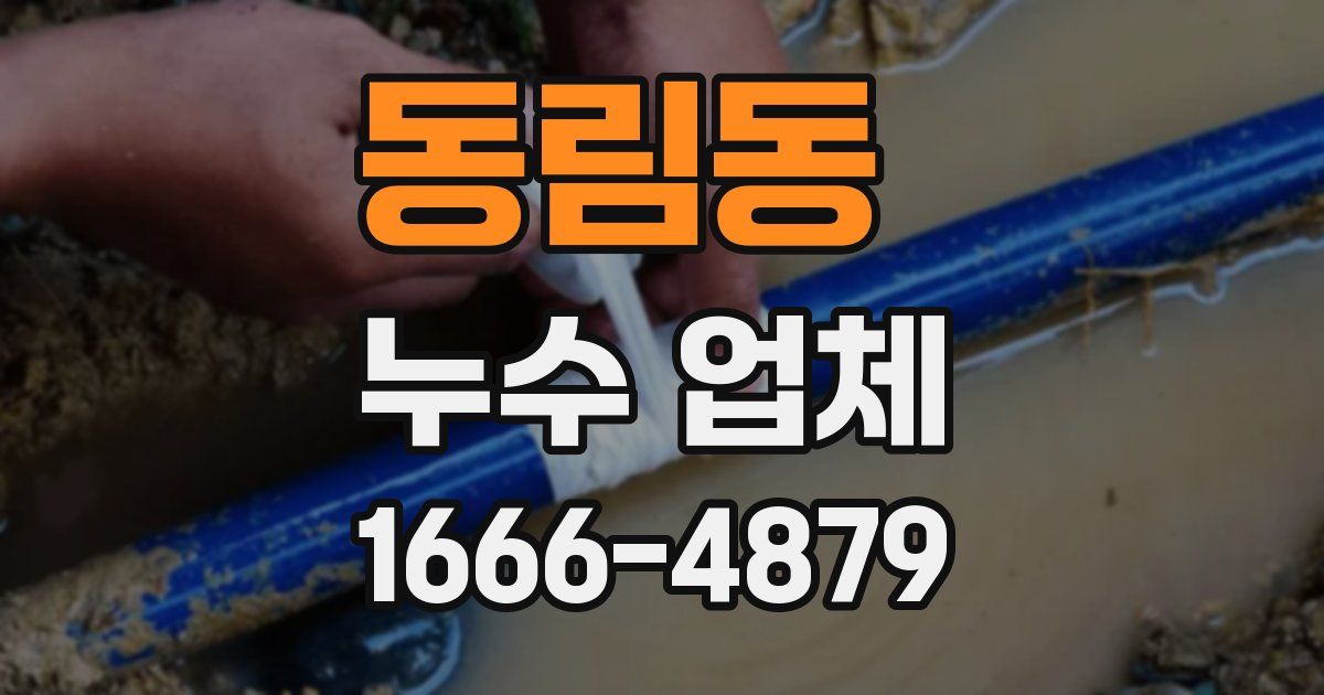 동림동 누수 업체