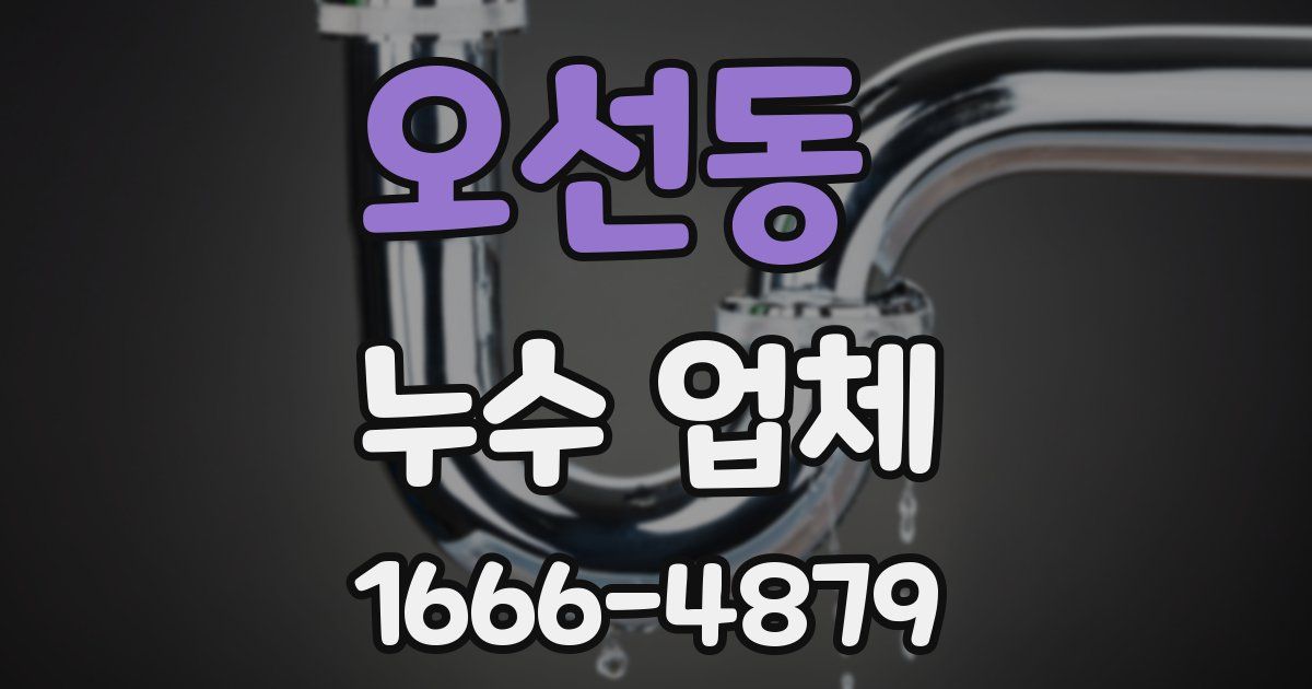 오선동 누수 업체